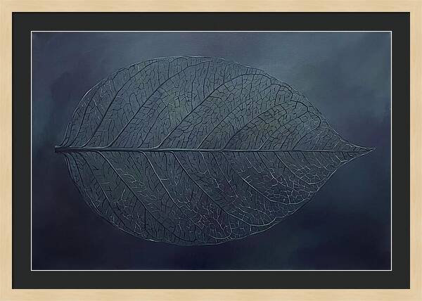 Leaf Skeleton Elegance
