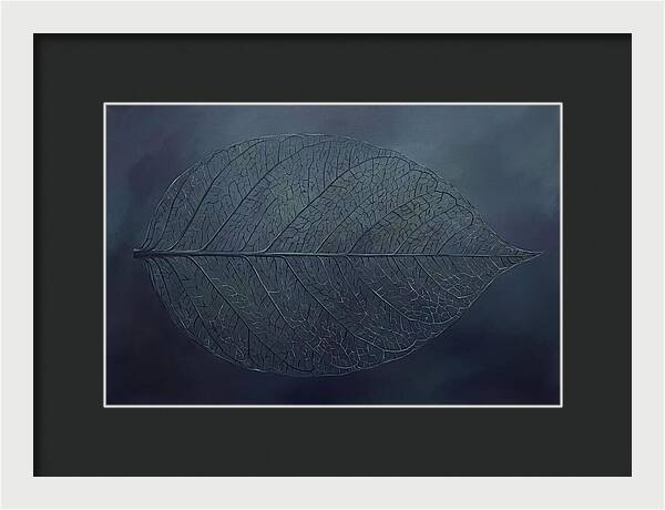 Leaf Skeleton Elegance