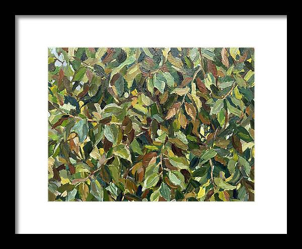 Leafy Canopy In Nature