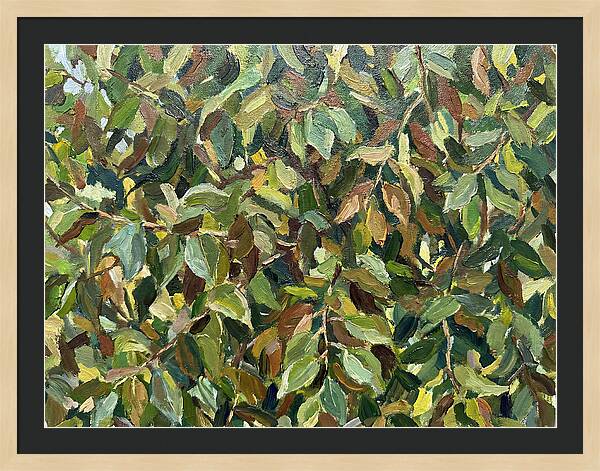 Leafy Canopy In Nature