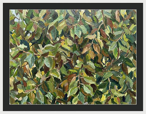 Leafy Canopy In Nature