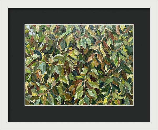Leafy Canopy In Nature