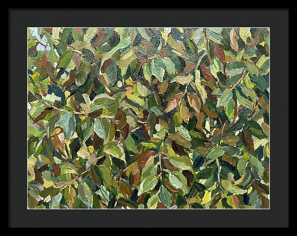 Leafy Canopy In Nature