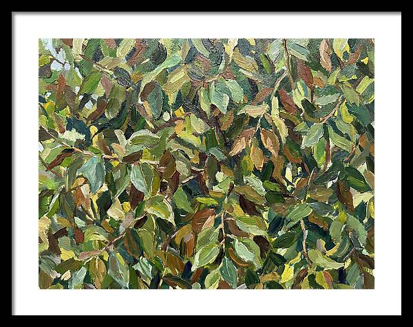Leafy Canopy In Nature