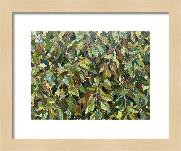 Leafy Canopy In Nature