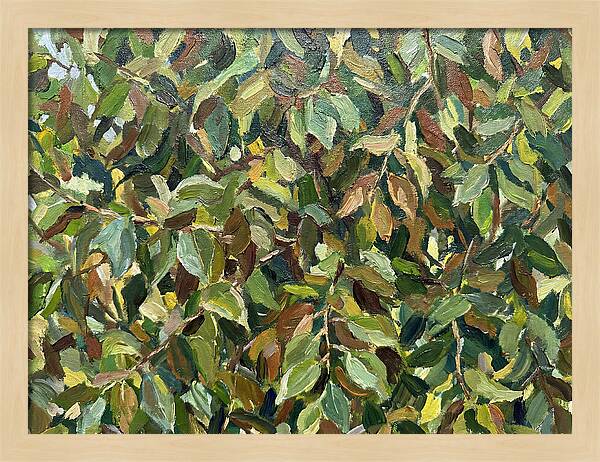 Leafy Canopy In Nature