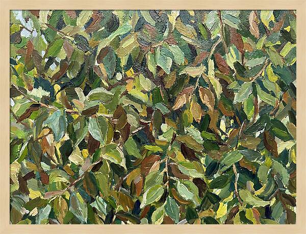 Leafy Canopy In Nature