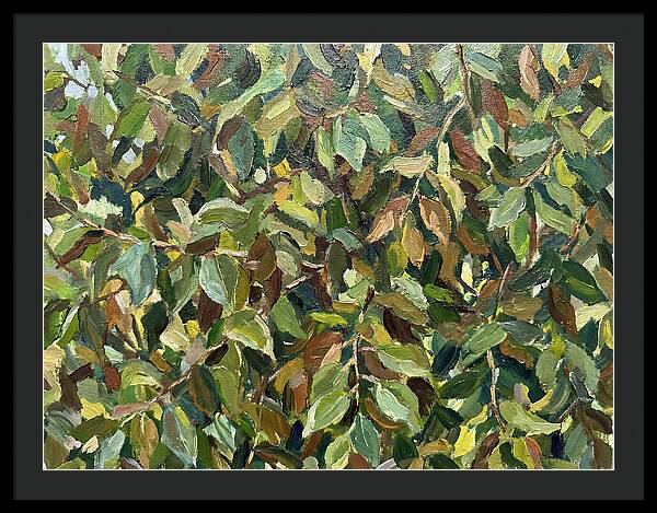 Leafy Canopy In Nature