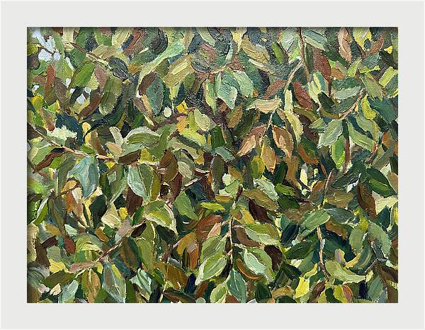 Leafy Canopy In Nature