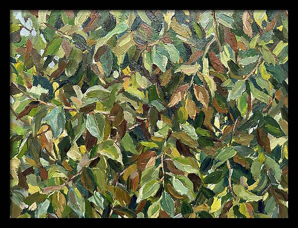 Leafy Canopy In Nature
