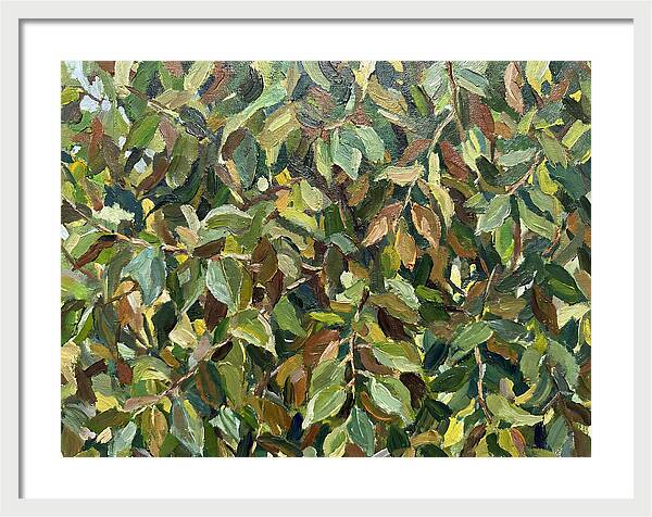 Leafy Canopy In Nature