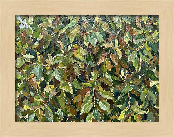 Leafy Canopy In Nature