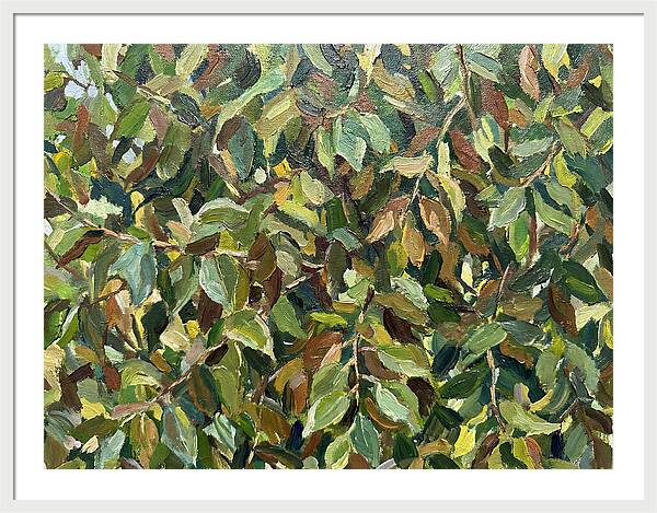 Leafy Canopy In Nature