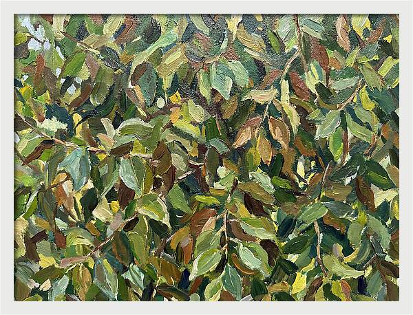 Leafy Canopy In Nature