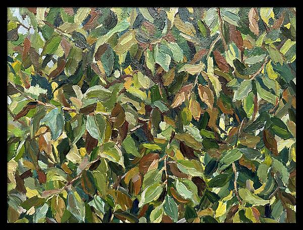 Leafy Canopy In Nature