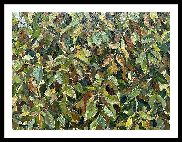 Leafy Canopy In Nature