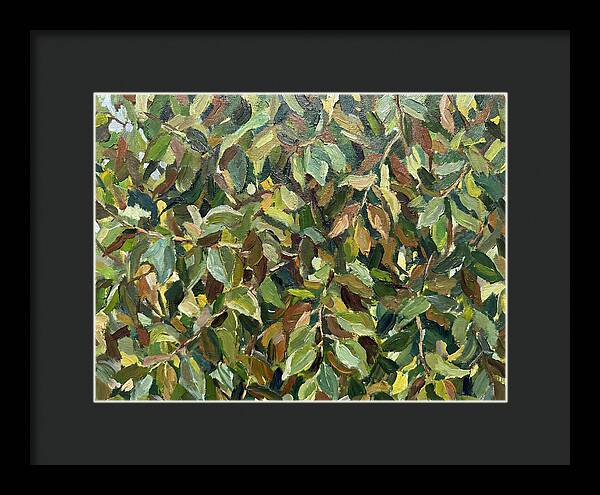Leafy Canopy In Nature