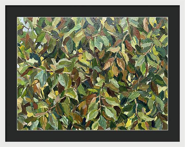 Leafy Canopy In Nature