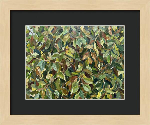 Leafy Canopy In Nature