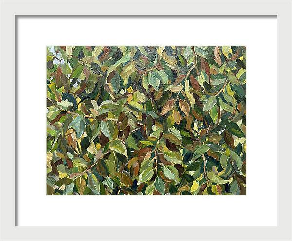 Leafy Canopy In Nature
