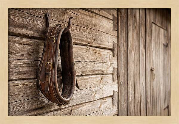 Leather Horse Collar Hanging On Barn Wall