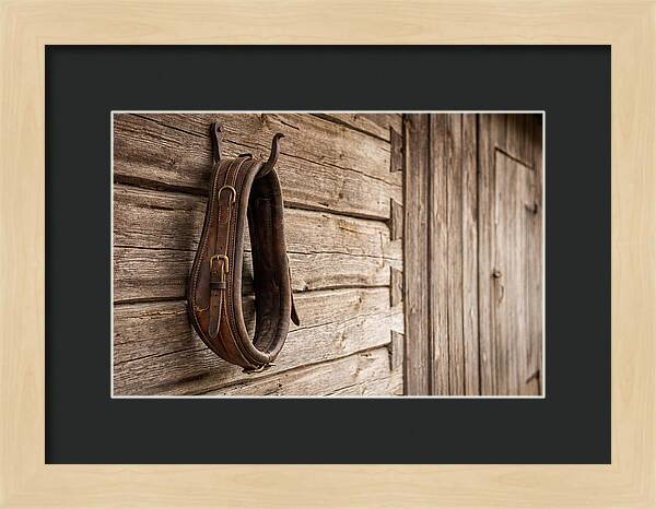 Leather Horse Collar Hanging On Barn Wall