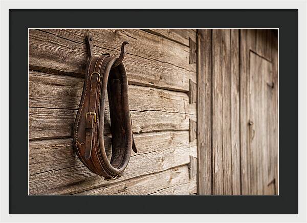 Leather Horse Collar Hanging On Barn Wall