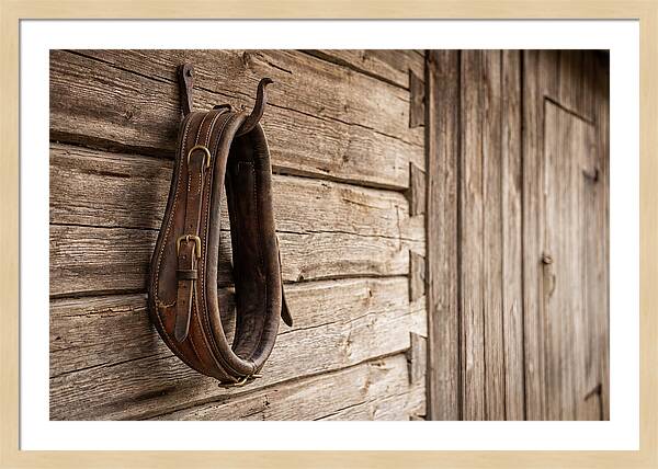 Leather Horse Collar Hanging On Barn Wall