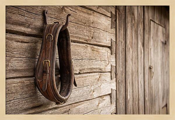 Leather Horse Collar Hanging On Barn Wall