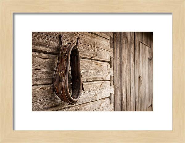 Leather Horse Collar Hanging On Barn Wall