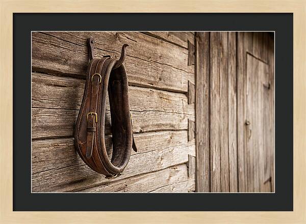 Leather Horse Collar Hanging On Barn Wall