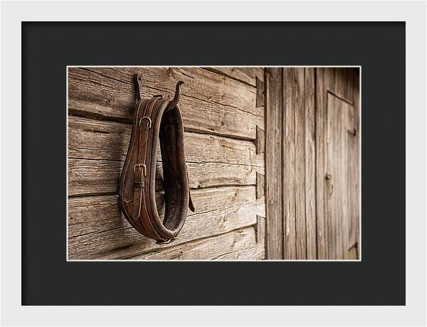 Leather Horse Collar Hanging On Barn Wall