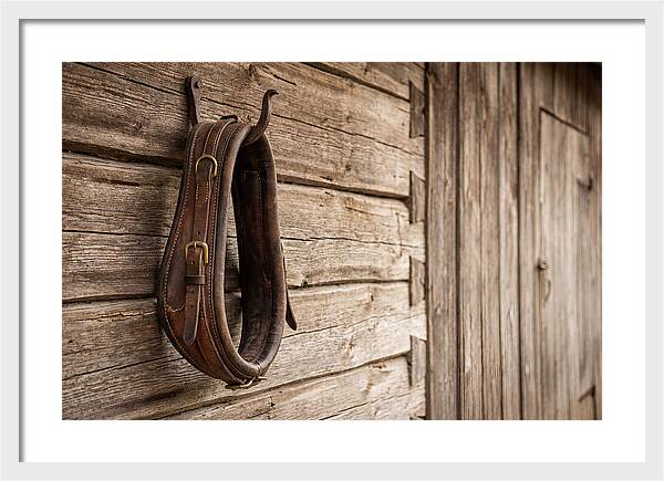 Leather Horse Collar Hanging On Barn Wall