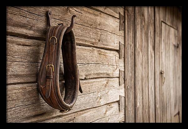 Leather Horse Collar Hanging On Barn Wall