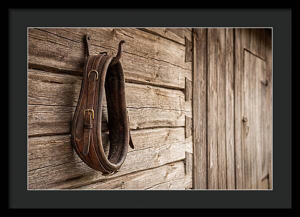 Leather Horse Collar Hanging On Barn Wall