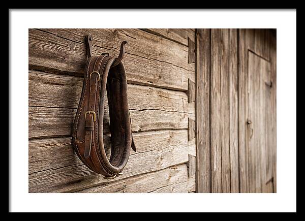 Leather Horse Collar Hanging On Barn Wall