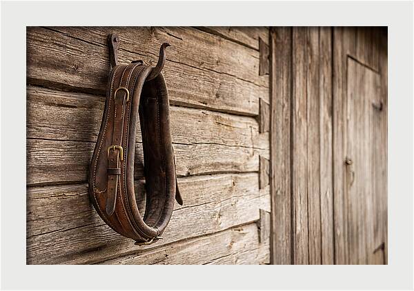 Leather Horse Collar Hanging On Barn Wall