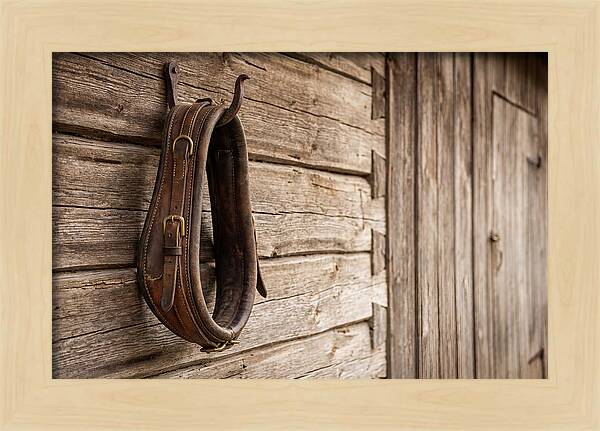 Leather Horse Collar Hanging On Barn Wall