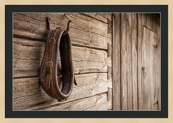 Leather Horse Collar Hanging On Barn Wall