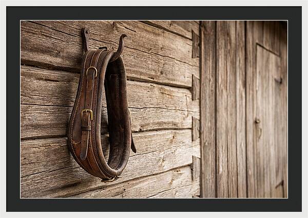 Leather Horse Collar Hanging On Barn Wall