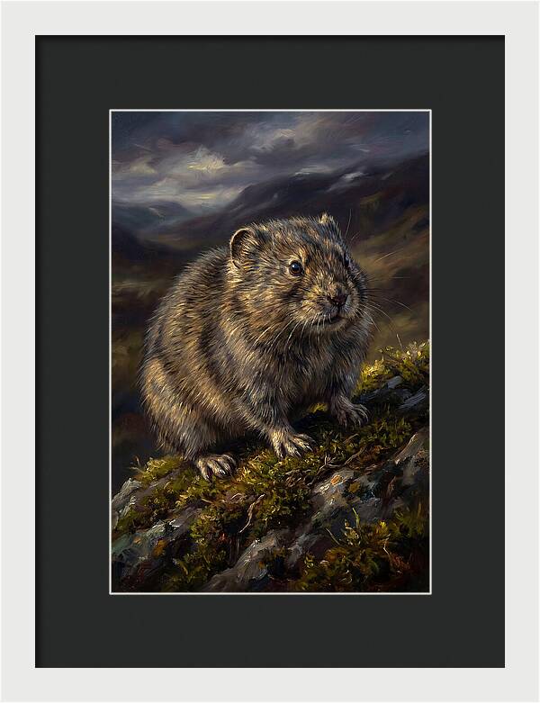 Lemming On A Rocky Outcrop