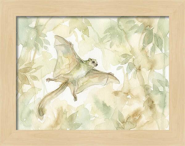 Lemur Gliding Above