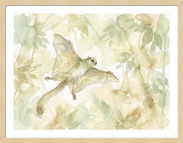 Lemur Gliding Above