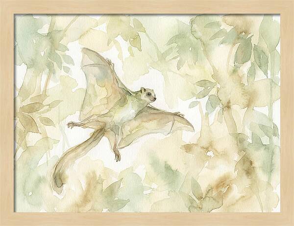 Lemur Gliding Above