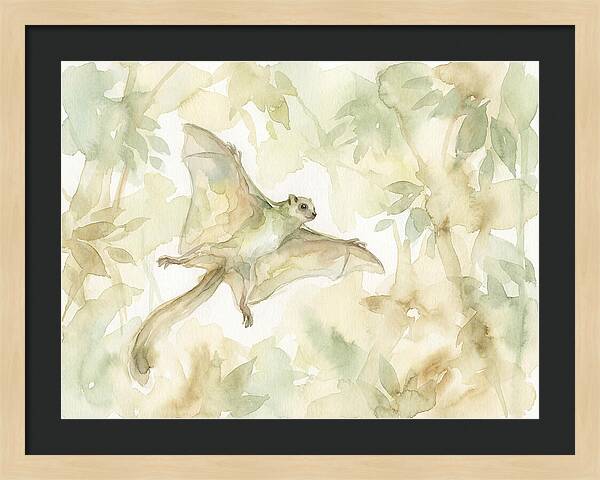 Lemur Gliding Above