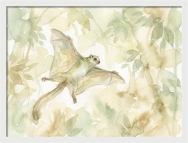 Lemur Gliding Above
