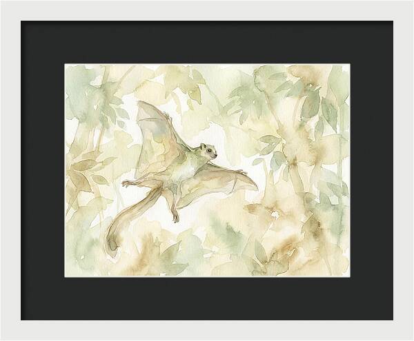 Lemur Gliding Above