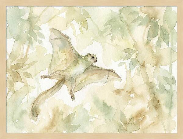 Lemur Gliding Above