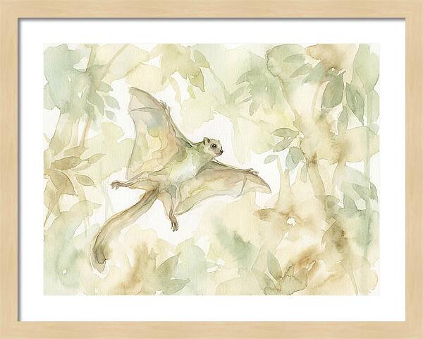 Lemur Gliding Above
