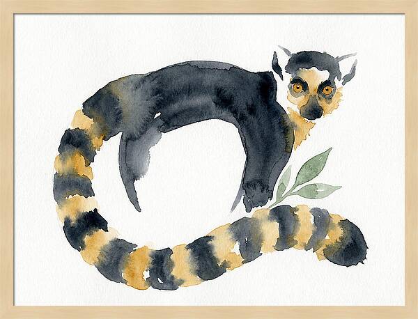 Lemur In Watercolor Style